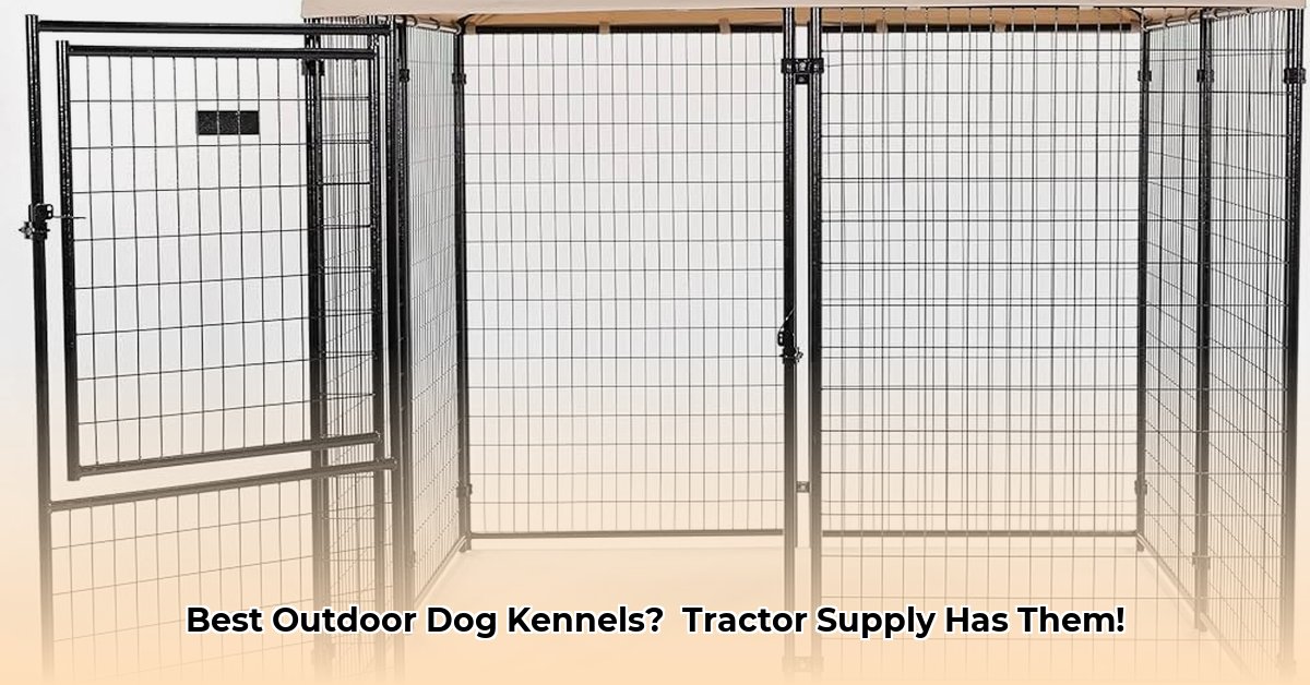 outdoor-dog-kennel-tractor-supply